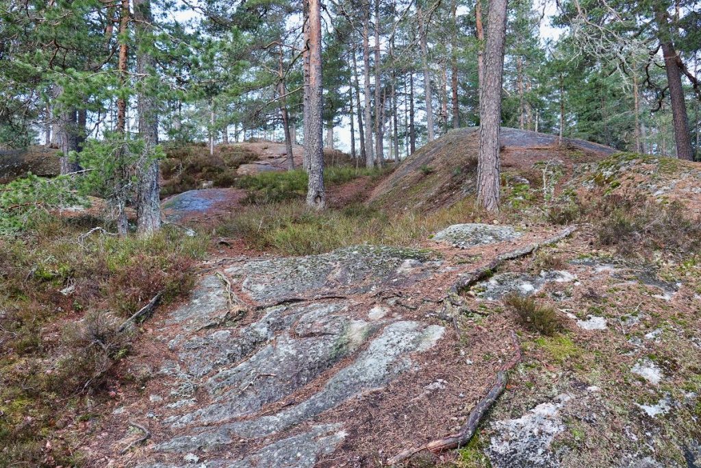 Bråteskogen, Strømmen / Skjetten. Turvei, turområde i Lillestrøm kommune. Foto: Vårt Strømmen, vartstrommen.no.