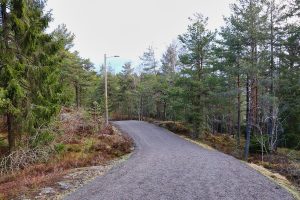 Read more about the article Strømmen-turtipset: Bråteskogen med utbedret turvei (bildereportasje)