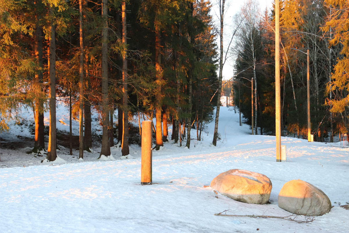 You are currently viewing Turtips på Strømmen: Bråteskogen (bildereportasje, februar 2022)