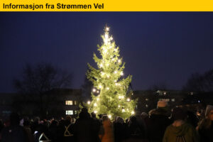 Read more about the article Julegrantenningen på Strømmen 1. advent: Program og informasjon