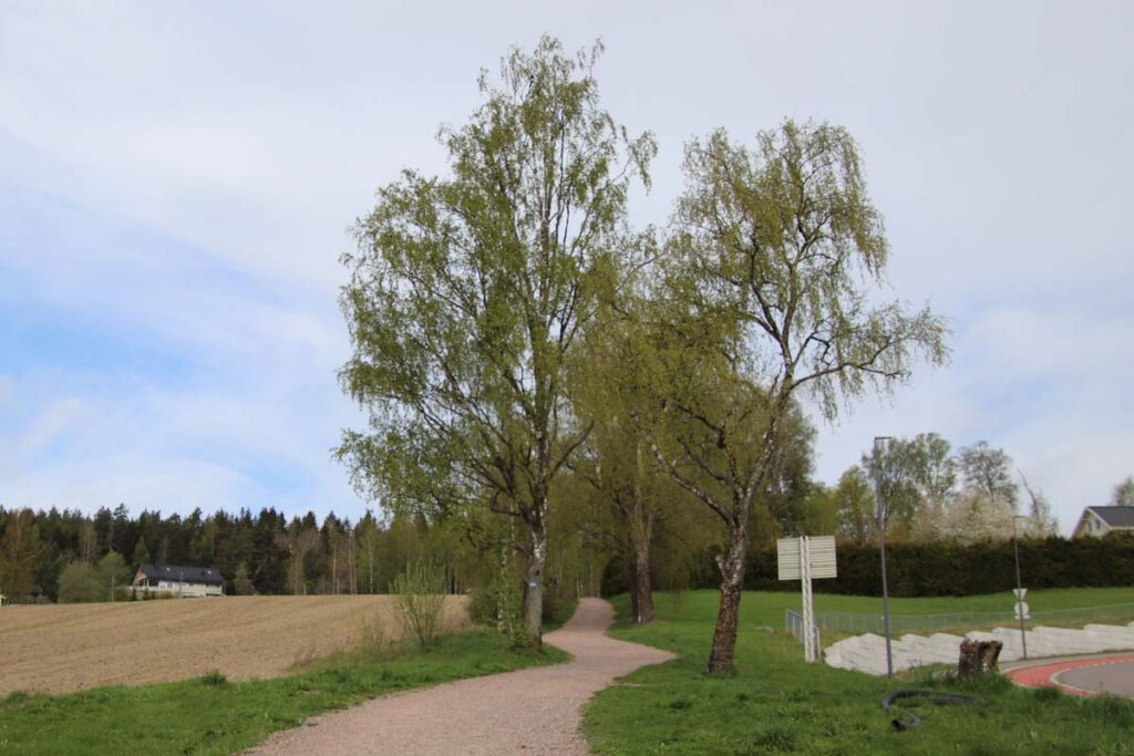 Turtips! Vårt Strømmen på rundtur på Strømmen, innom St.Hansfjellet, Sagstien, Sagdalen og Strømmen sentrum. Foto: www.vartstrommen.no - www.vårtstrømmen.no