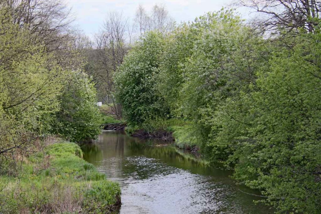 Turtips! Vårt Strømmen på rundtur på Strømmen, innom St.Hansfjellet, Sagstien, Sagdalen og Strømmen sentrum. Foto: www.vartstrommen.no - www.vårtstrømmen.no