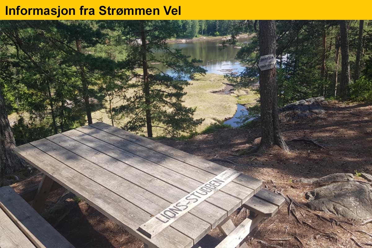 You are currently viewing Turtips i Strømmens nærområde: Lions-stubben