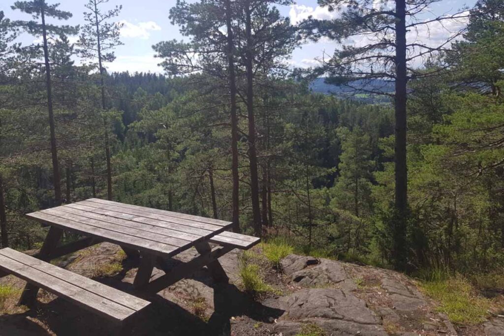 Strømmen Vel, strommenvel.no, VEL-nytt. Turtips i Strømmens nærområde: Lions-stubben.