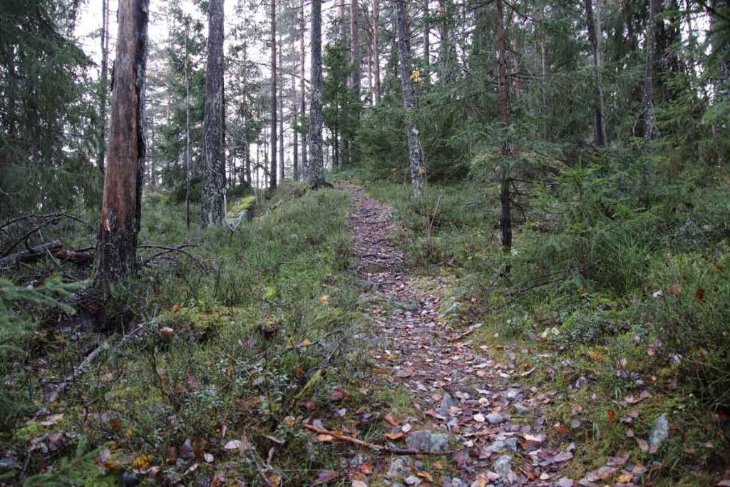 Turtips på Strømmen, Lillestrøm, Romerike: Bråteskogen med turvei / lysløype og skogsstier, og utsiktspunktet St.Hansfjellet. Foto: Vårt Strømmen, www.vartstrommen.no