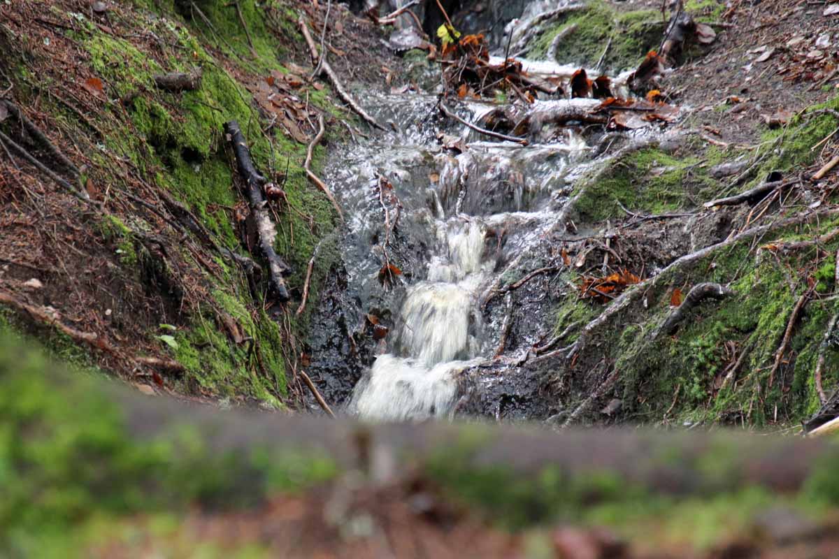 Turtips på Strømmen, Lillestrøm, Romerike: Bråteskogen med turvei / lysløype og skogsstier, og utsiktspunktet St.Hansfjellet. Foto: Vårt Strømmen, www.vartstrommen.no