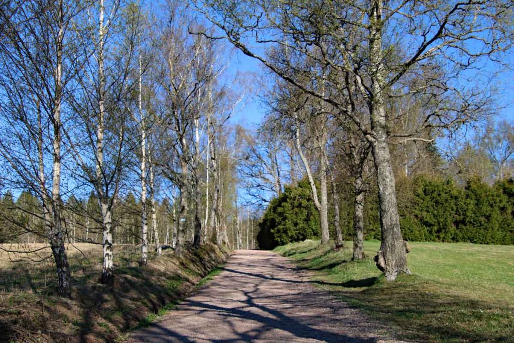 Turtips på Strømmen: Lysløypa og turvei i Bråteskogen, med utsiktspunktet St.Hansfjellet. Foto: www.vartstrommen.no