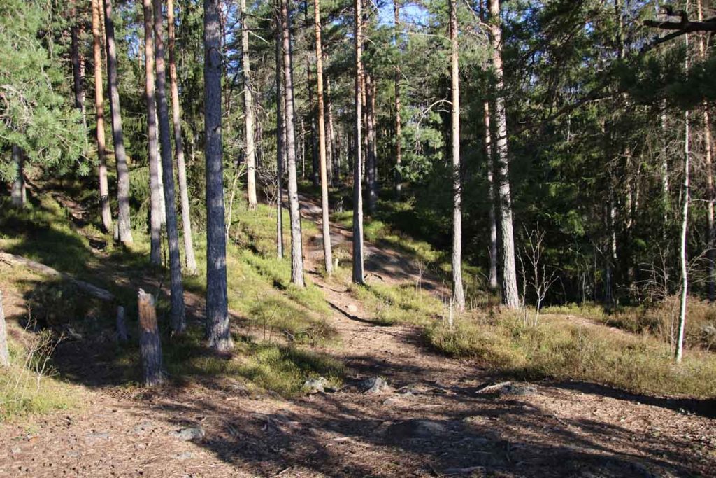 Turtips på Strømmen: Lysløypa og turvei i Bråteskogen, med utsiktspunktet St.Hansfjellet. Foto: www.vartstrommen.no