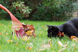 Read more about the article Nå er den populære ordningen tilbake – gratis henting av hageavfall på Strømmen