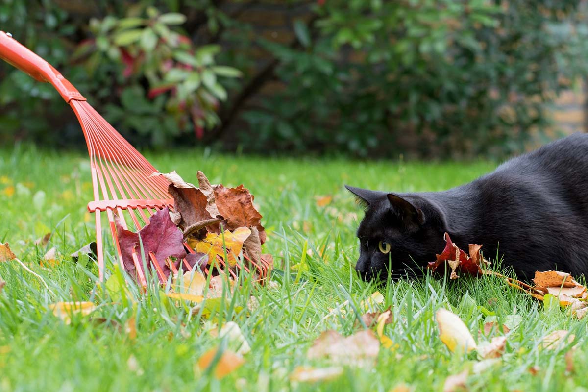 You are currently viewing Nå er den populære ordningen tilbake – gratis henting av hageavfall på Strømmen