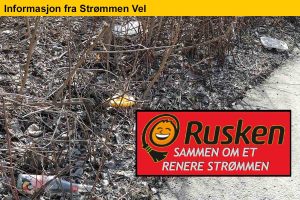 Read more about the article Rusken-aksjonen lørdag 25. april