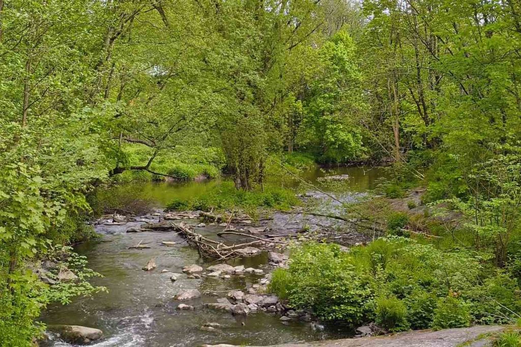 Mølleparken: Strømmens uten tvil beste parkområde - med en historisk vri ivaretatt av Sagelvas Venner. Foto: Vårt Strømmen, www.vartstrommen.no