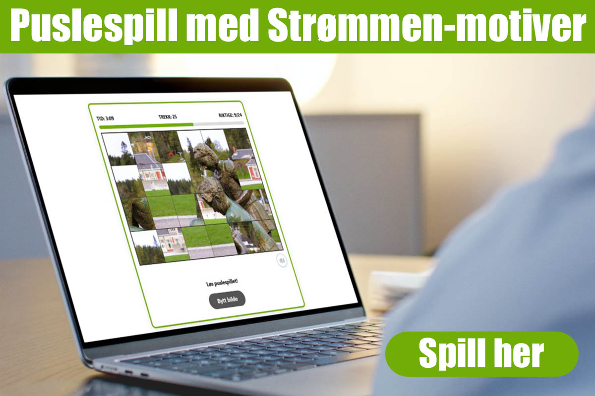 Puslespill med Strømmen-motiver | Vårt Strømmen / vårtstrømmen.no