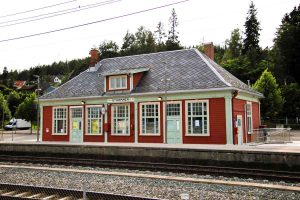 Read more about the article Hva er Strømmen, og hvem er strømlingen? Bylab Strømmen gir en del av svarene
